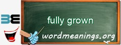 WordMeaning blackboard for fully grown
